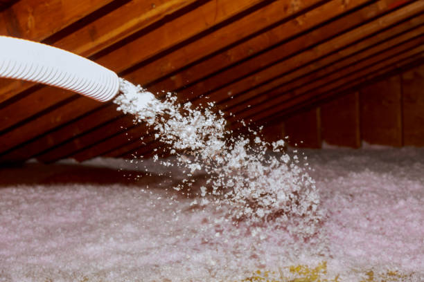 Best Cellulose Insulation  in Loveland, CO